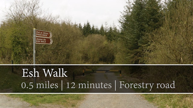 Esh Walk, Knockballyroney, County Monaghan