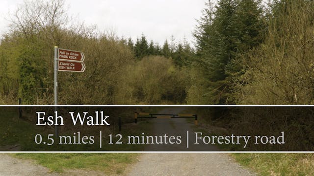 Esh Walk, Knockballyroney, County Mon...