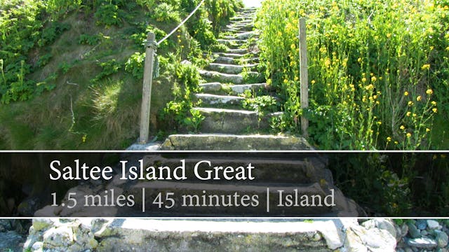 Saltee Island Great, Saltee Islands, ...