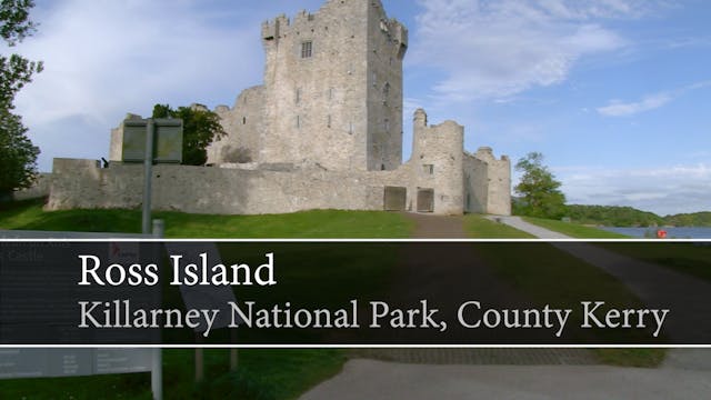 [Guided Tour] Ross Island, Killarney ...