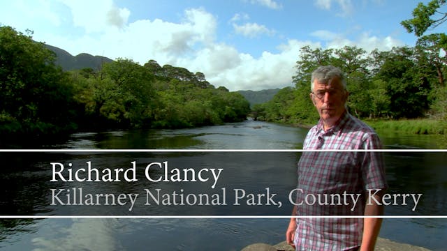 Killarney National Park, County Kerry