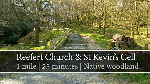 Reefert Church & St Kevins Cell, Glendalough, County Wicklow