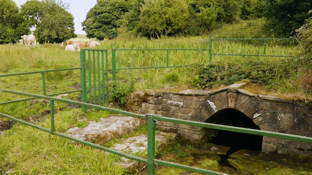 [View] Saint Lugna's Well, Cadamstown, County Offaly