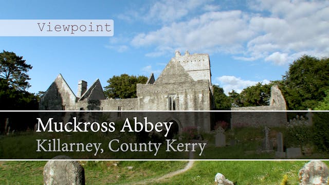 Muckross Abbey, Killarney, County Kerry