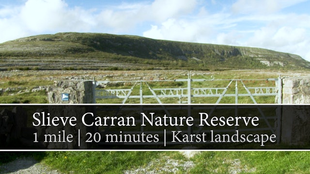 Slieve Carran Nature Reserve, Keelhilla, County Clare