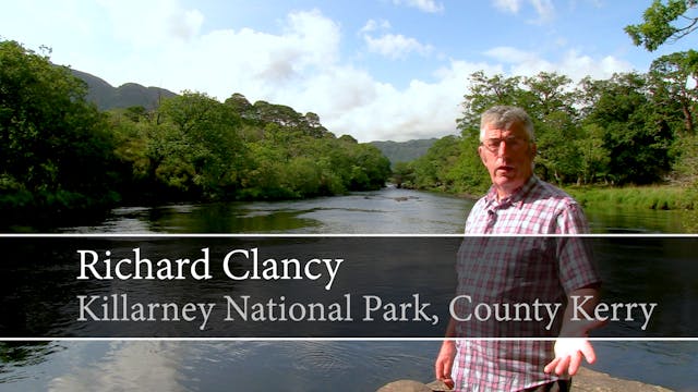 Trek Ireland with Richard Clancy in Killarney National Park, County Kerry