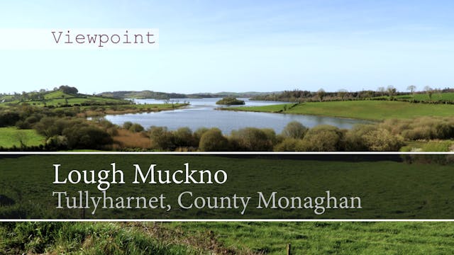 Lough Muckno, Tullyharnet, County Mon...