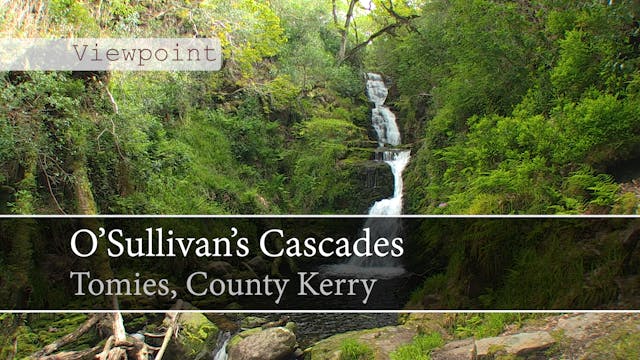 O'Sullivans Cascades, Tomies, County ...