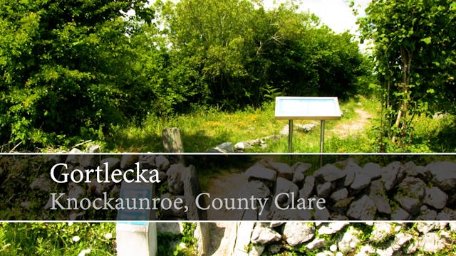 Guided Virtual Walking Tour Gortlecka...