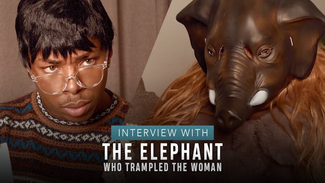Interview With The Elephant Who Tramp...