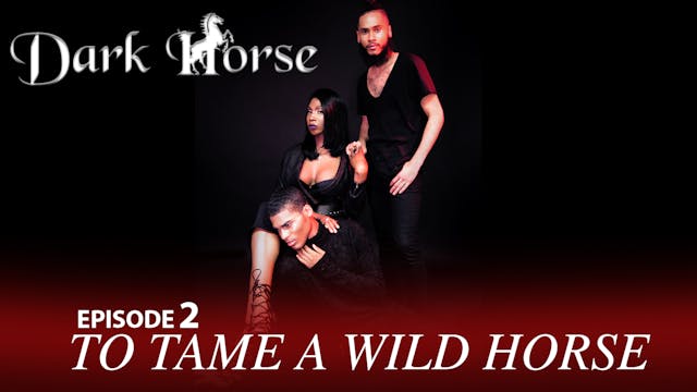 Dark Horse Episode 2 "To Tame a Wild Horse"
