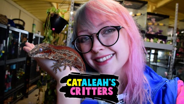 CatAleah's Critters: Episode 9