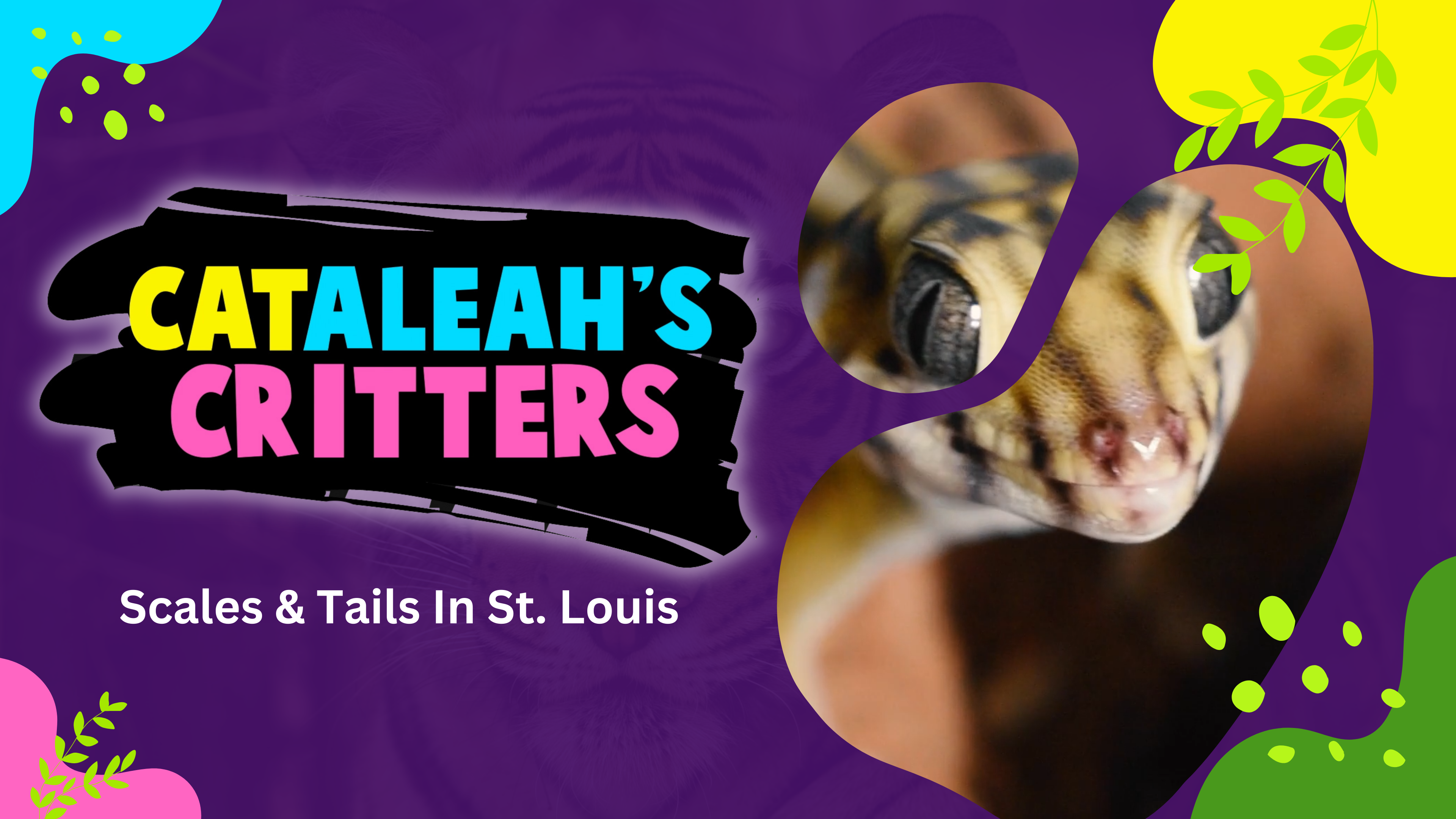 Scales & Tails In St. Louis | CatAleah's Critters