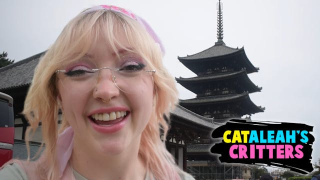 CatAleah's Critters In Japan! (SEASON...