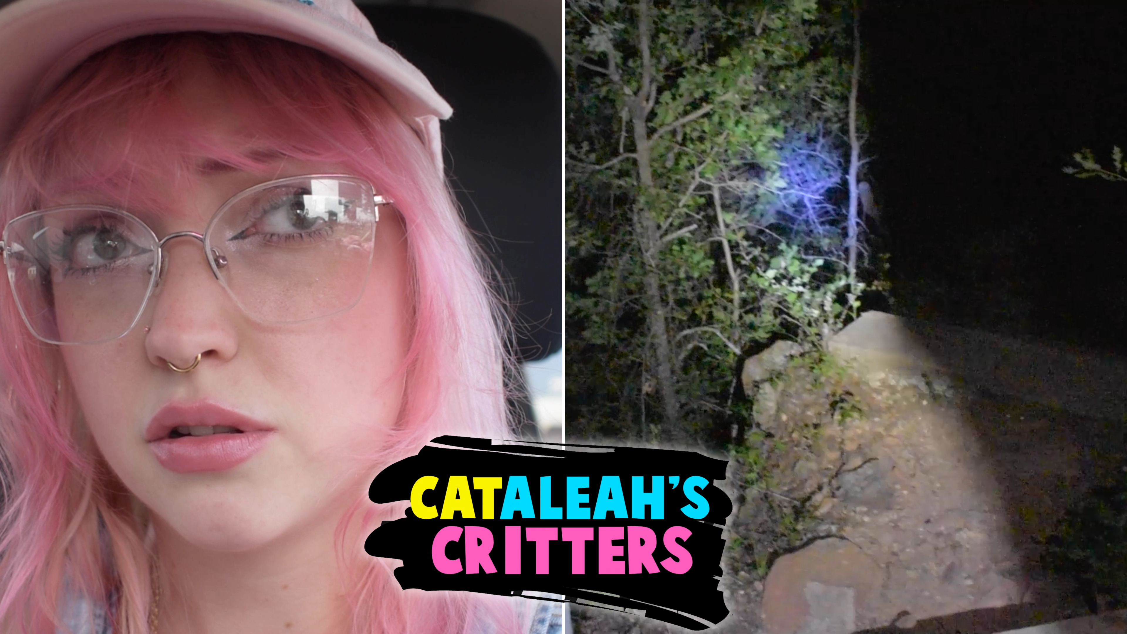 CatAleah's Critters: Exploring an Abandoned Zoo