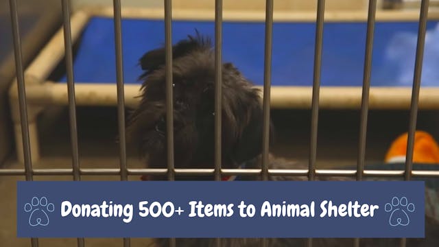Animal Shelter Donations + Oliver's S...