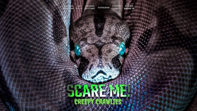Scare Me! | Creepy Crawlies ft. CatAleah