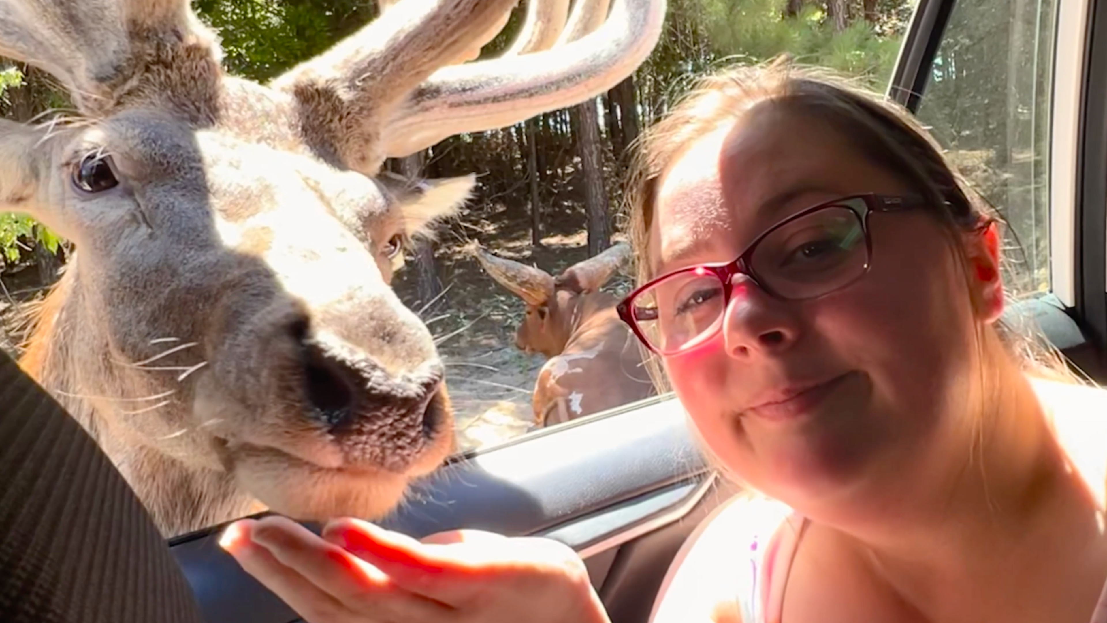 Trilogy Media visits Animal Park in Texas!