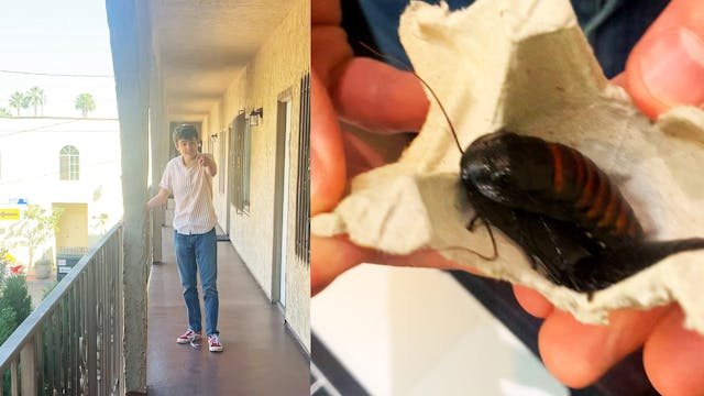 ParmaSean PRANKED (EPIC Roach Scare!)