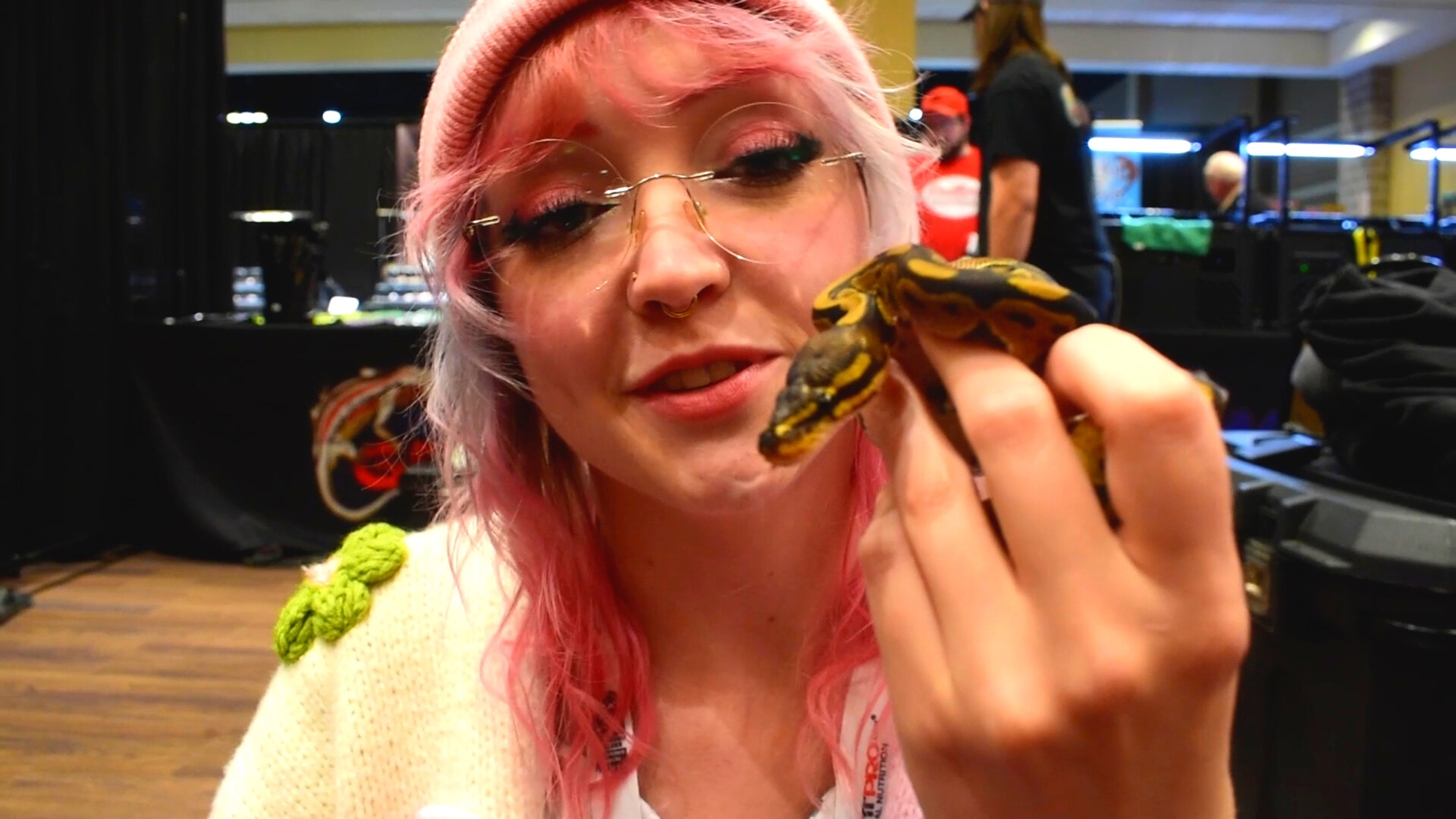 My Patagonian Cavies MEET for the First Time!