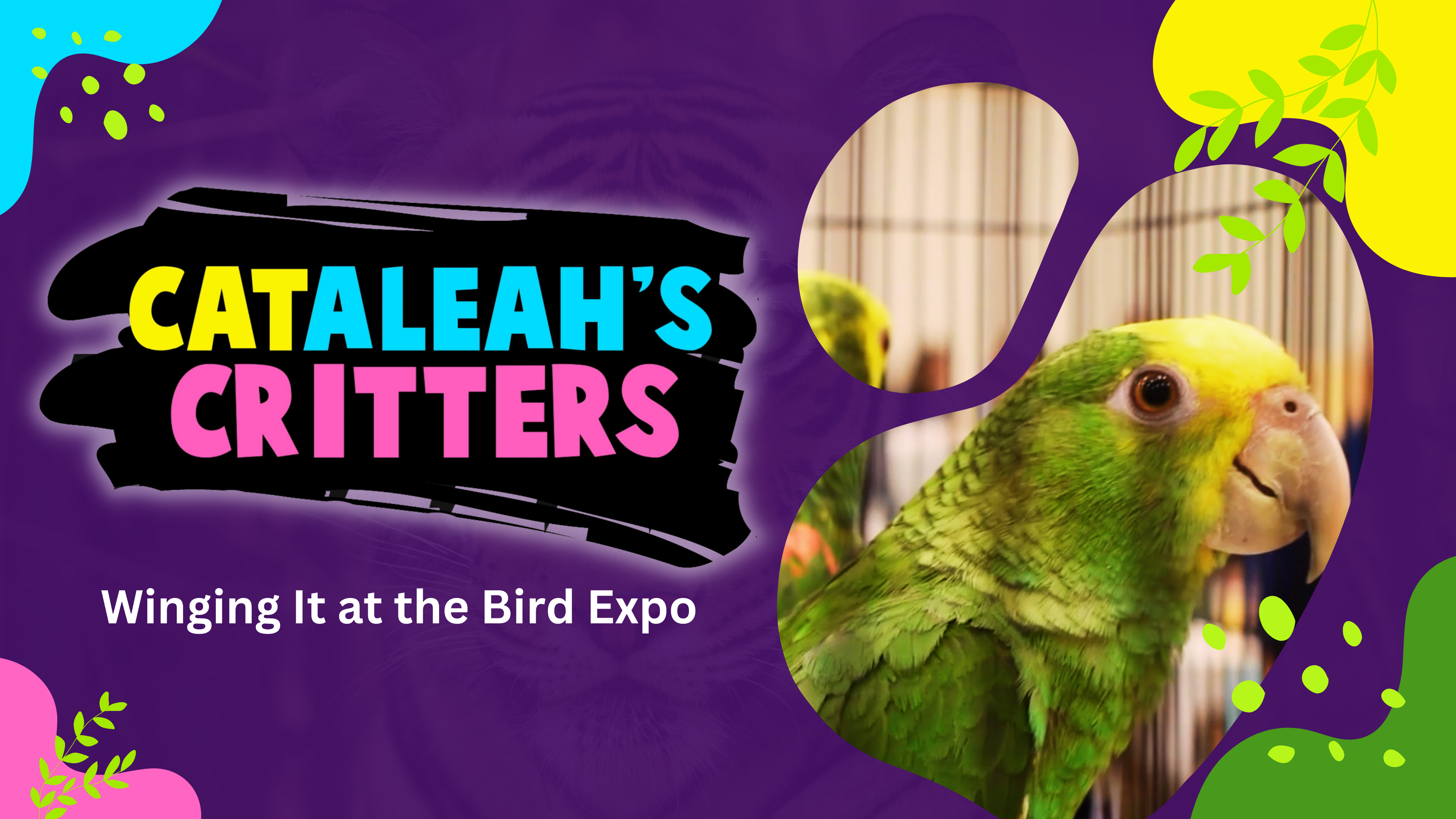 Winging It at the Bird Expo | CatAleah's Critters