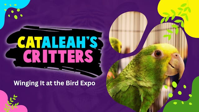 Winging It at the Bird Expo | CatAlea...