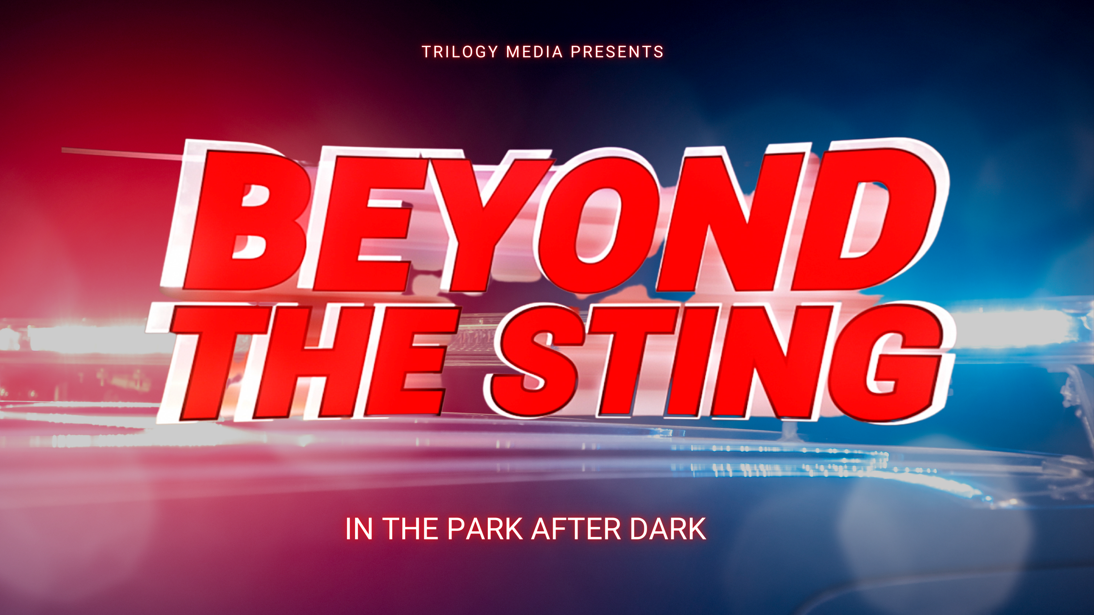 In the Park After Dark