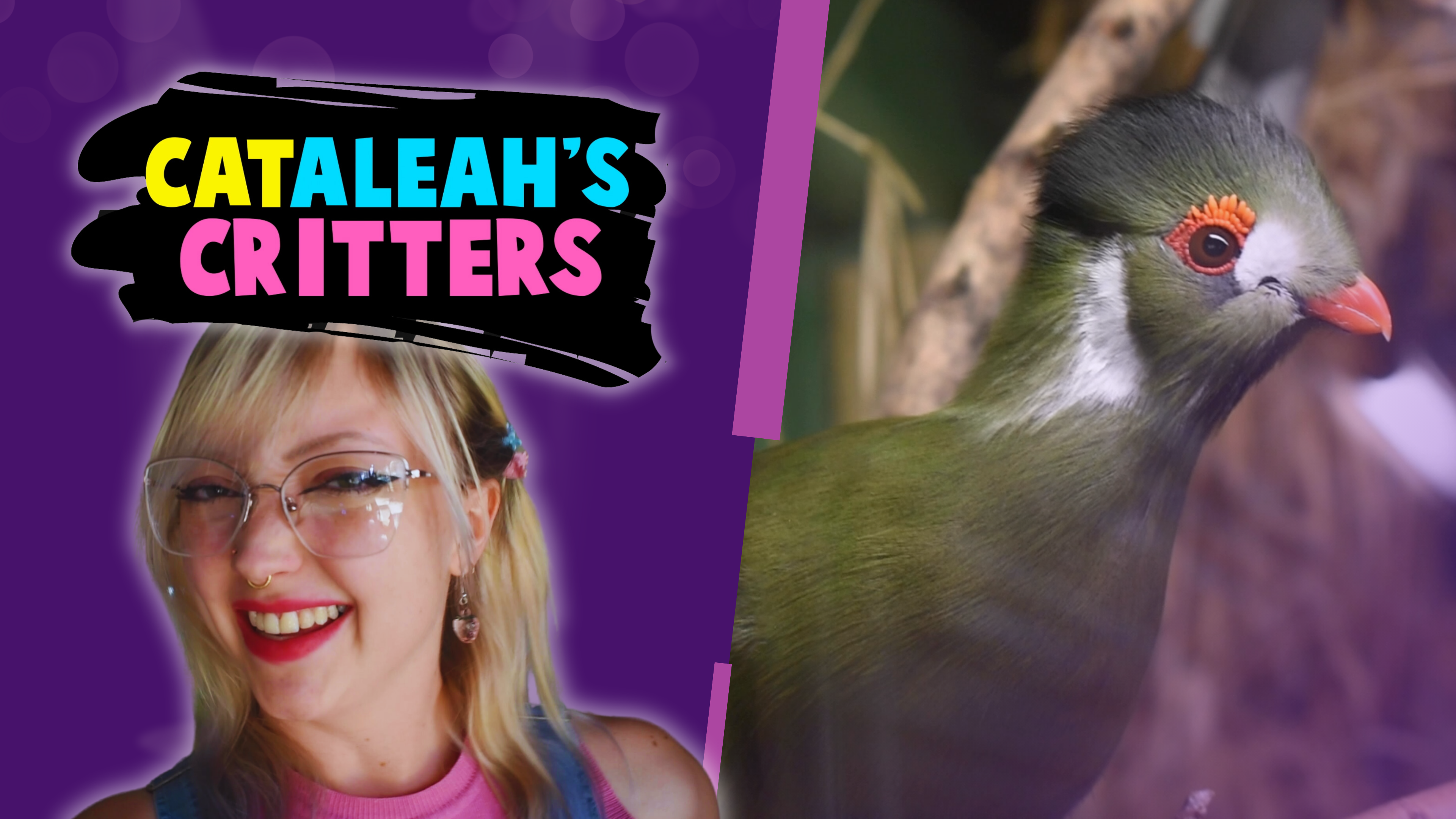 Exploring The Abilene Zoo!