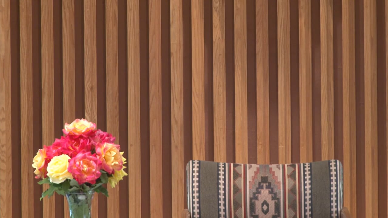 Sedona Retreat - Session 11