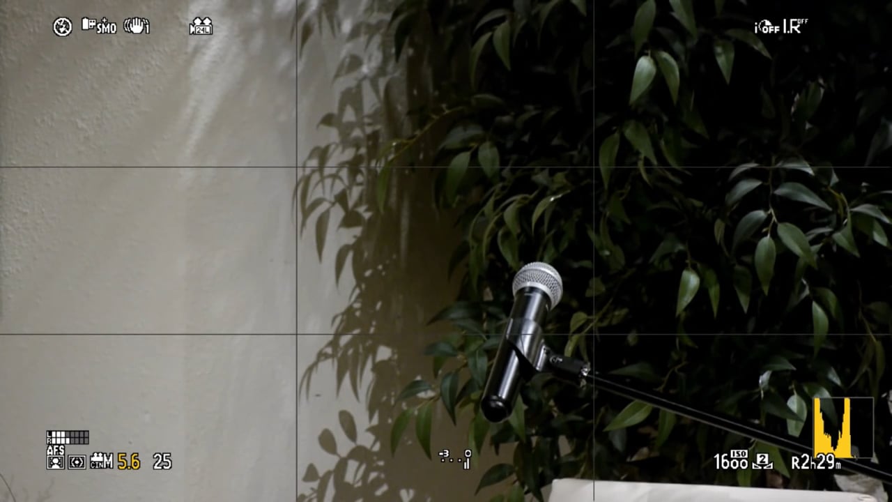 Imagineer Your Life (1.12.15)