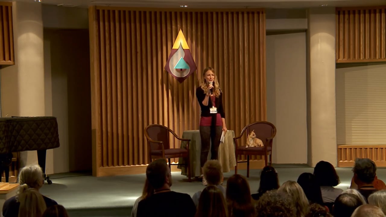 Eye of the Hurricane Session 6