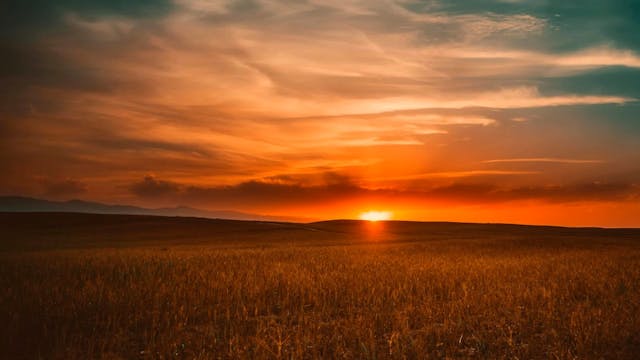 Day of the Lord ▪ Joe Romeo