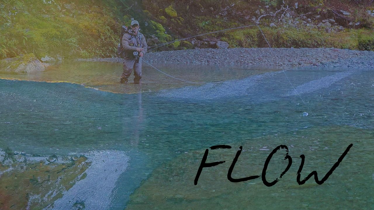 FLOW - The Movie