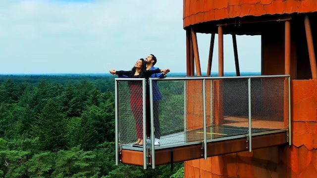 त्रयी trayee