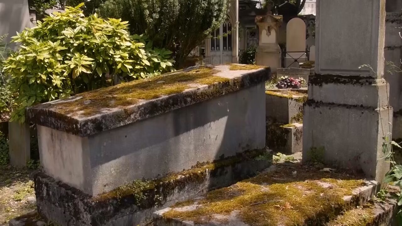 Toujours .. Malgré la poussée du vent violent