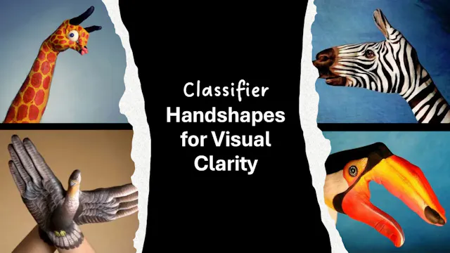Classifier Handshapes for Visual Clarity
