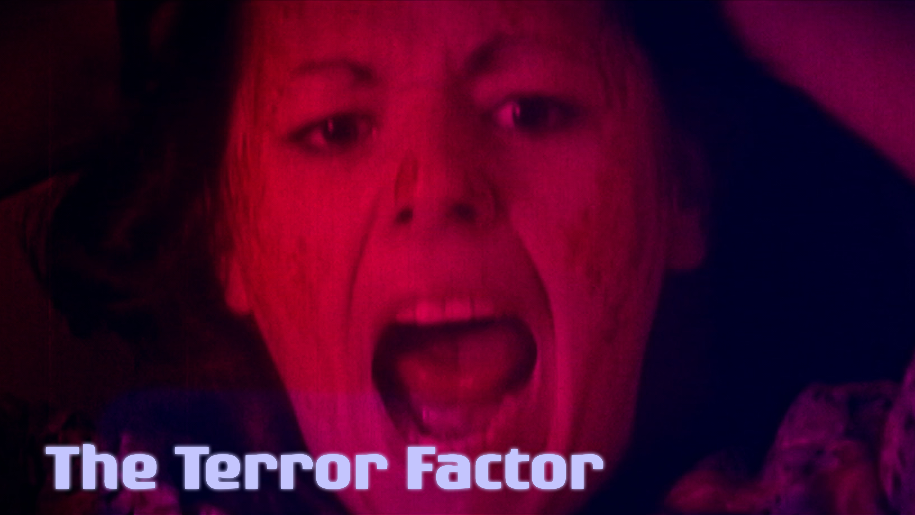 The Terror Factor