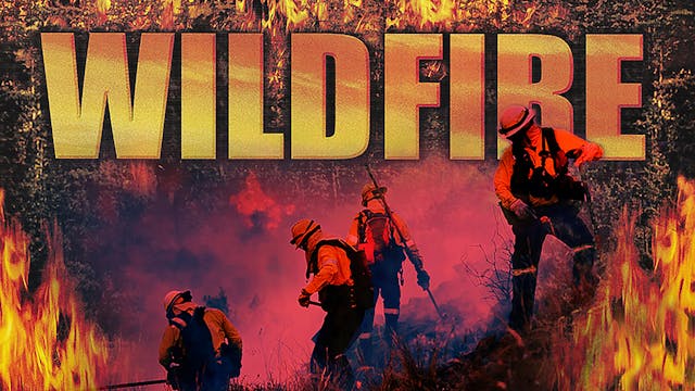 Wild Fire