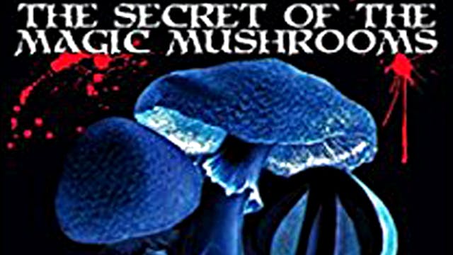 The Secret of the Magic Mushrooms