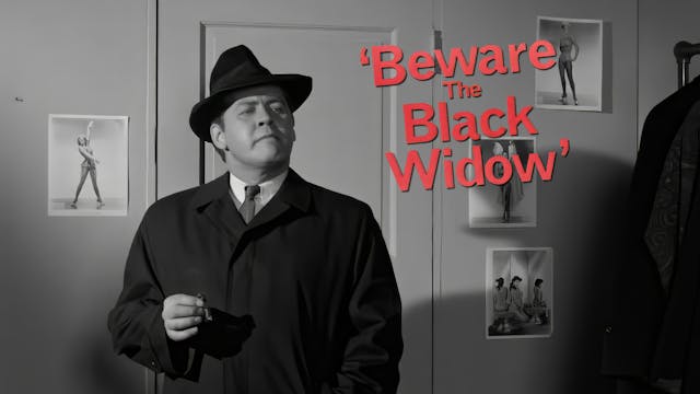 Beware the Black Widow