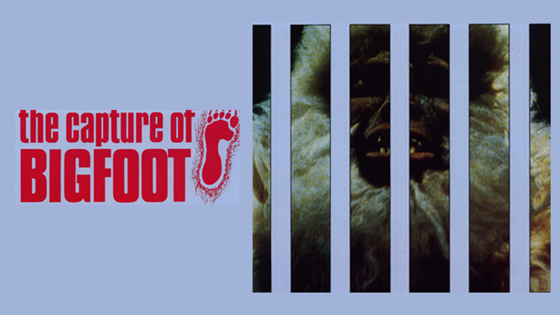 The Capture of Bigfoot