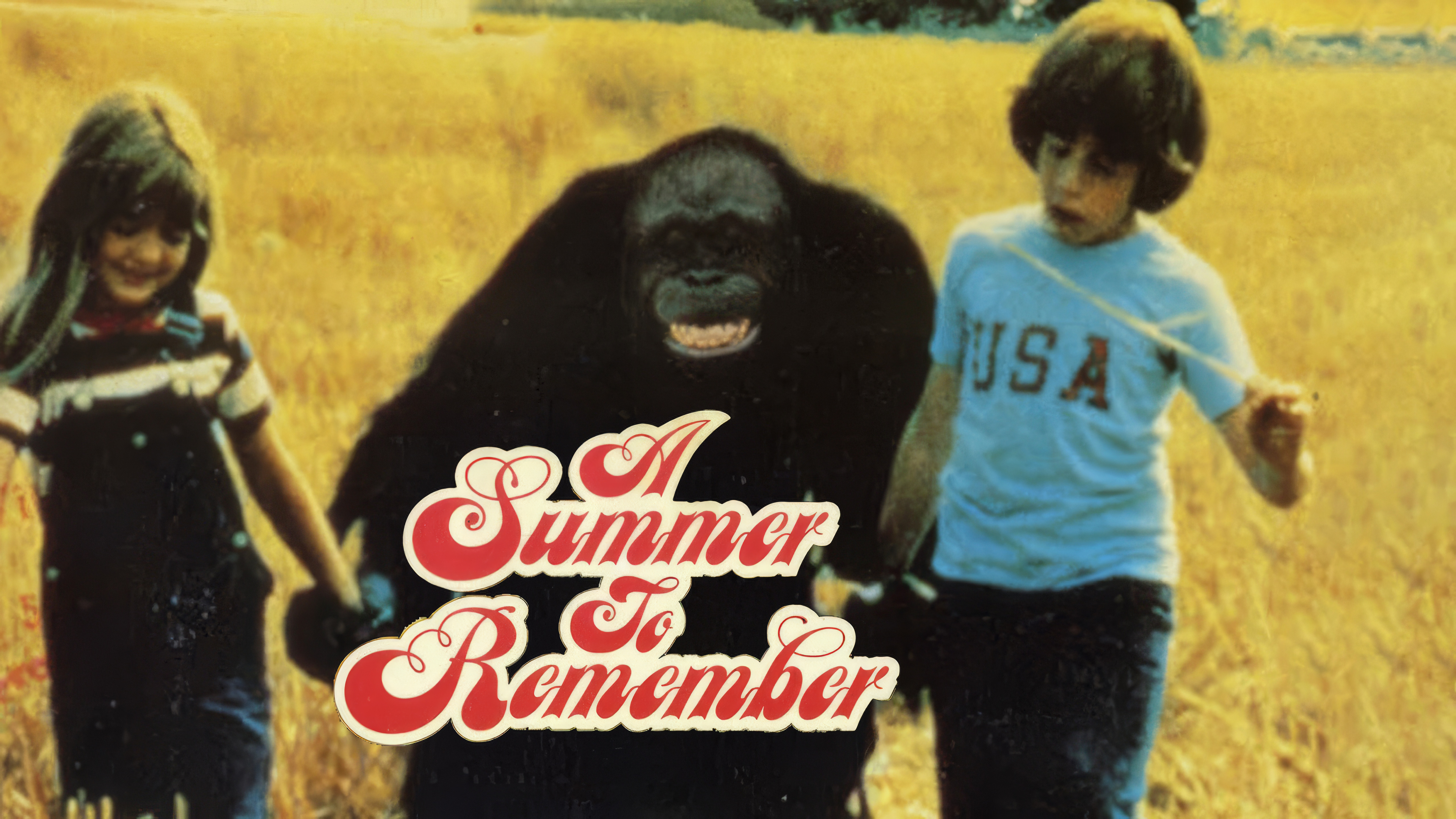 A Summer to Remember