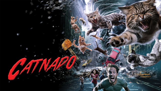 Catnado