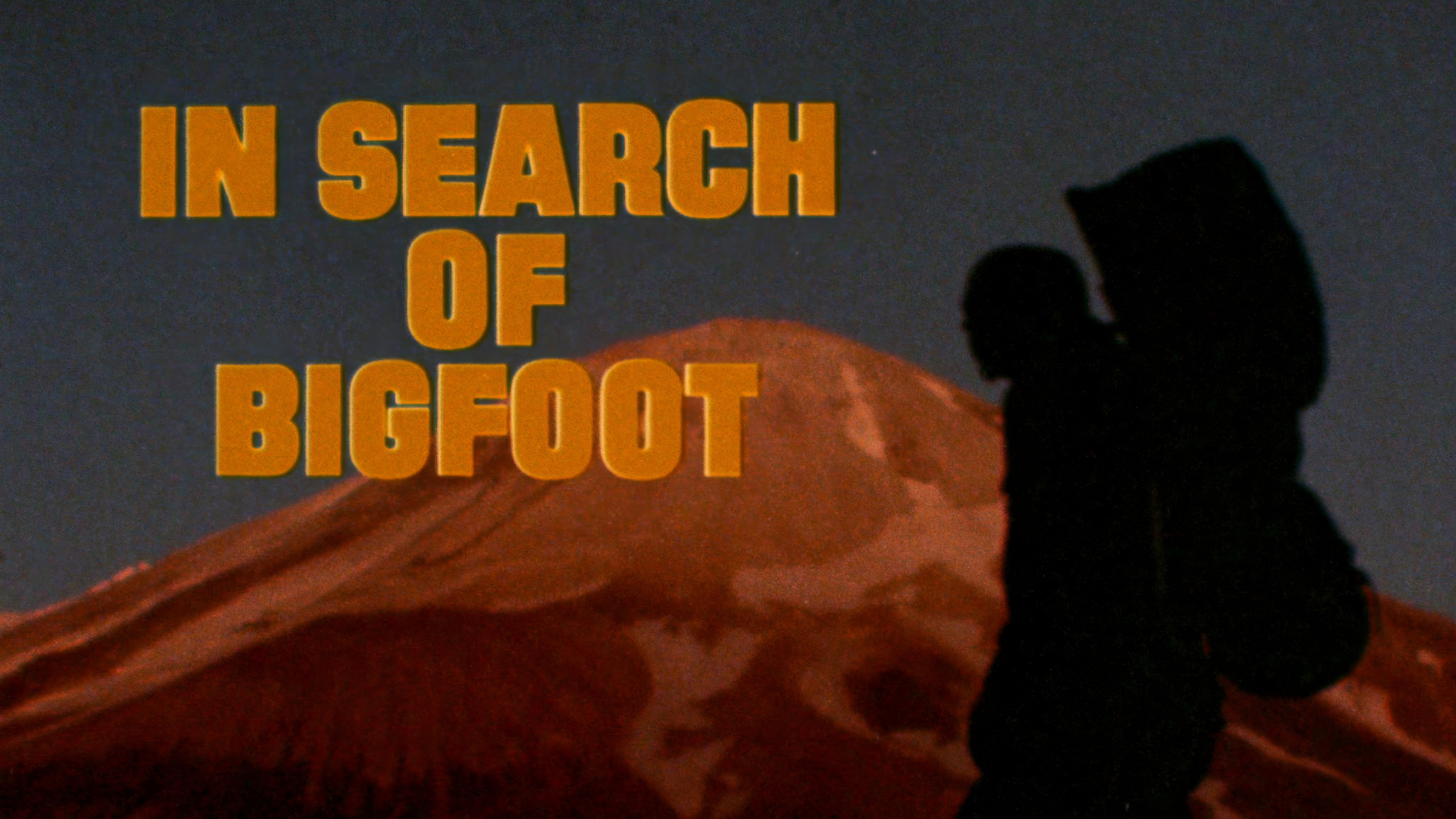 In Search Of Bigfoot