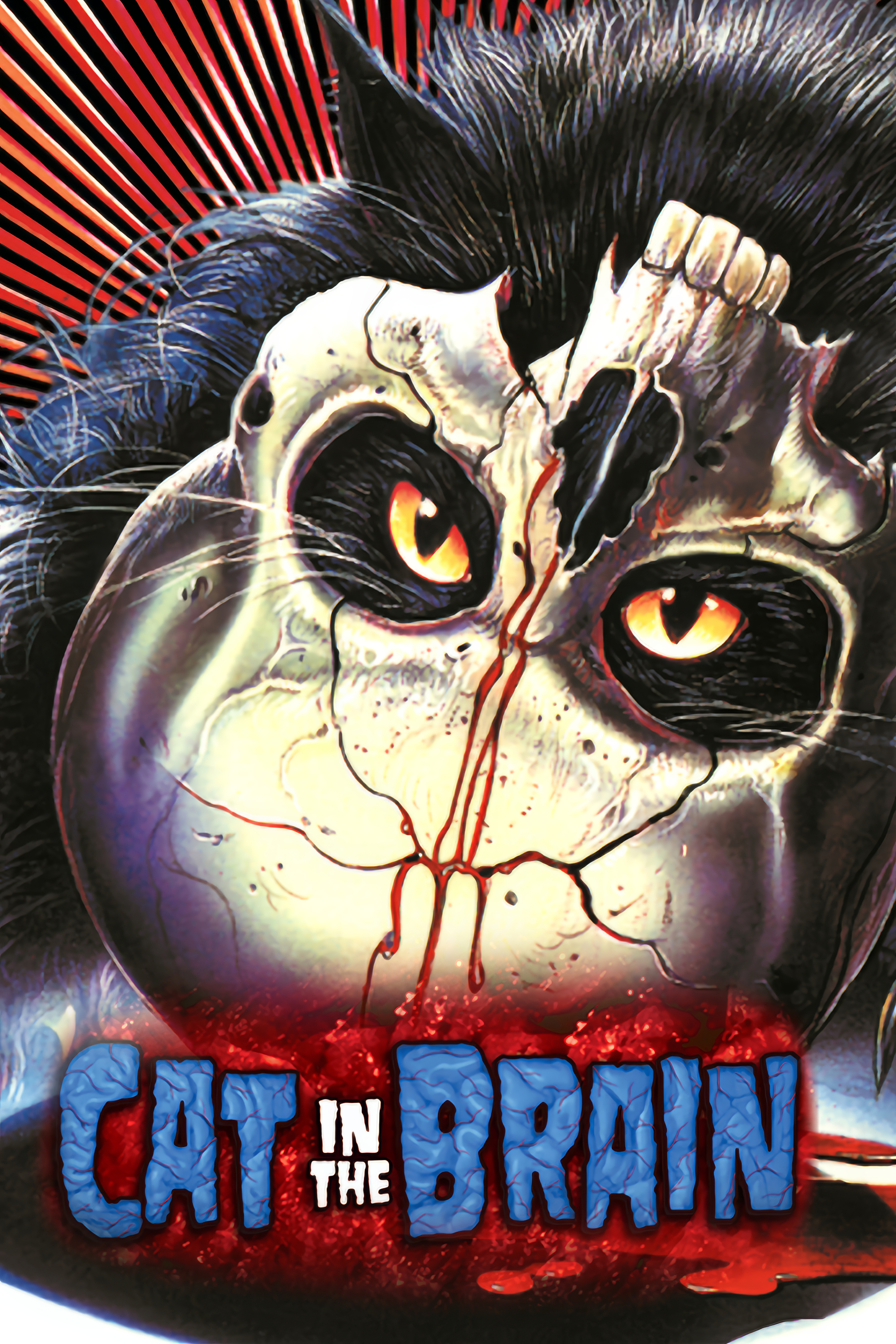 A Cat in the Brain