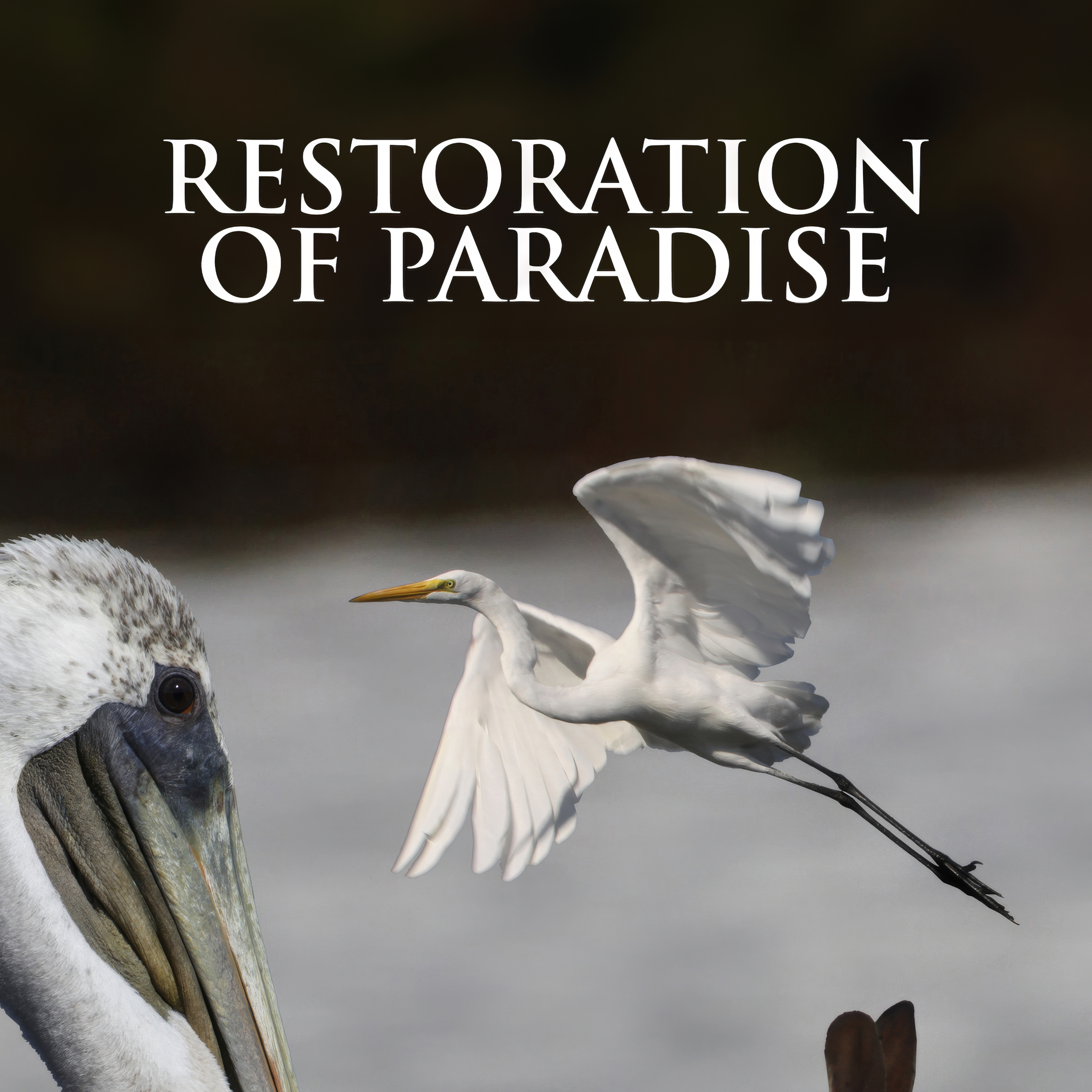 Restoration of Paradise