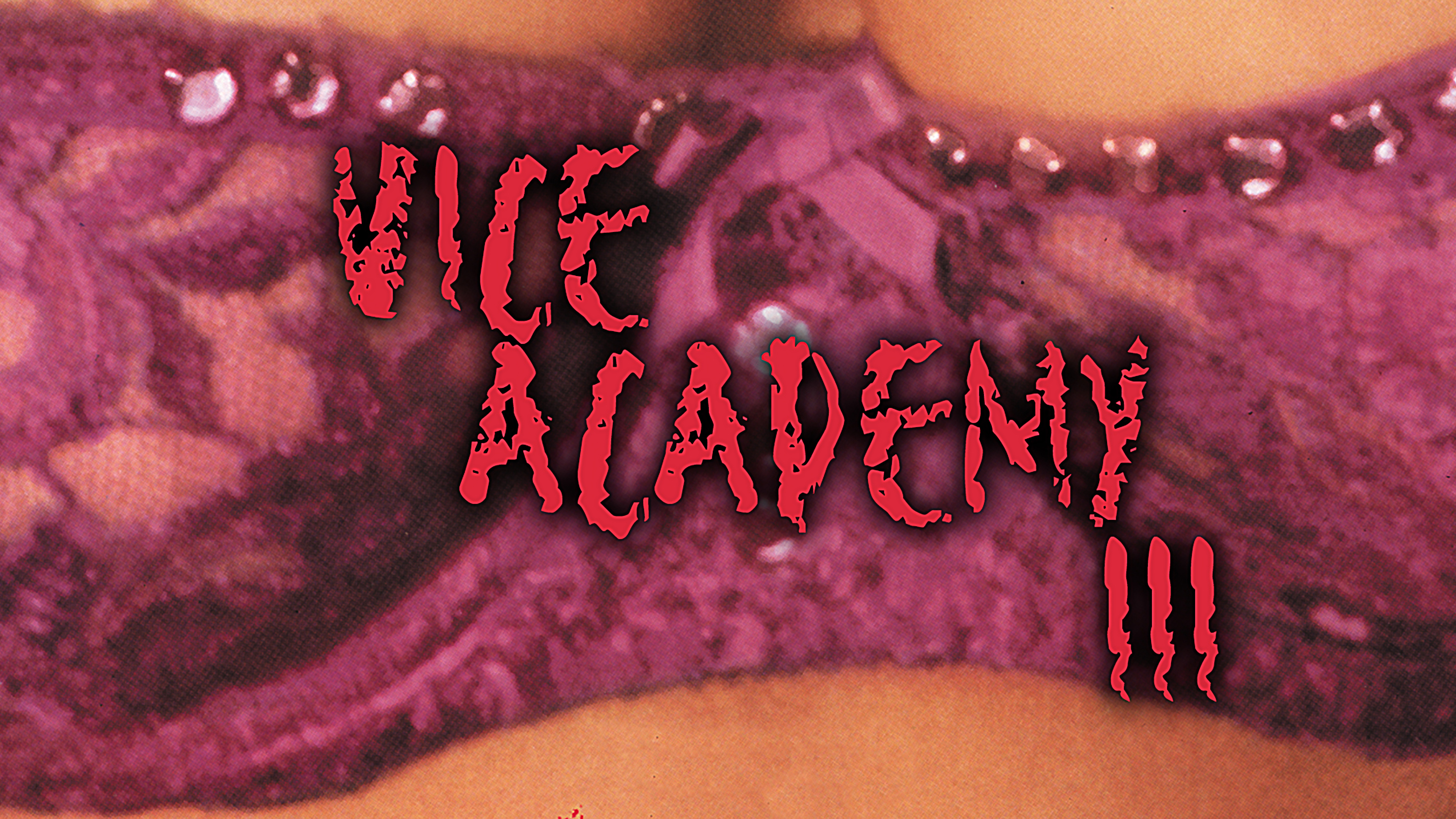 Vice Academy Part 3