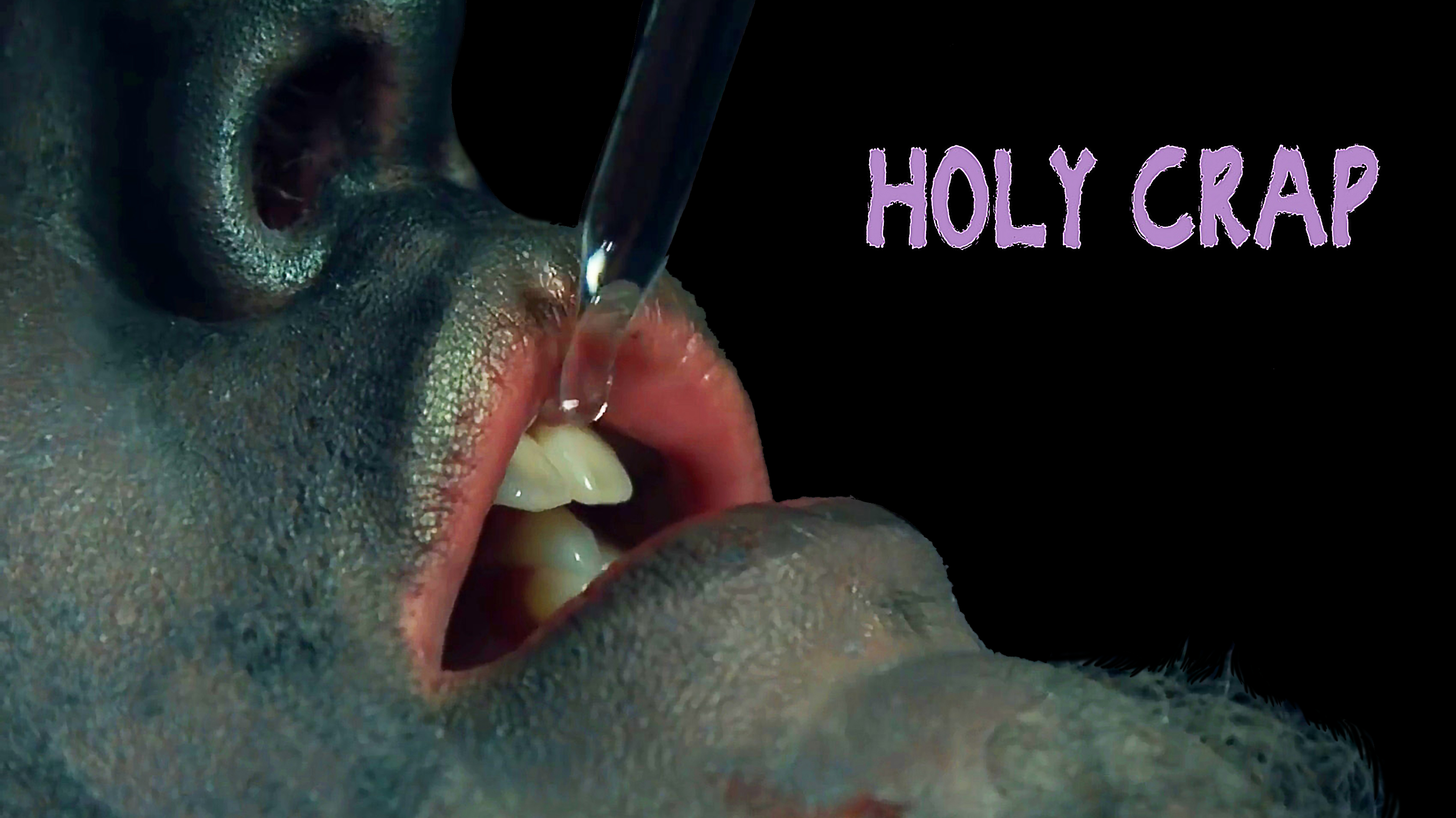 Holy Crap: A Love Story