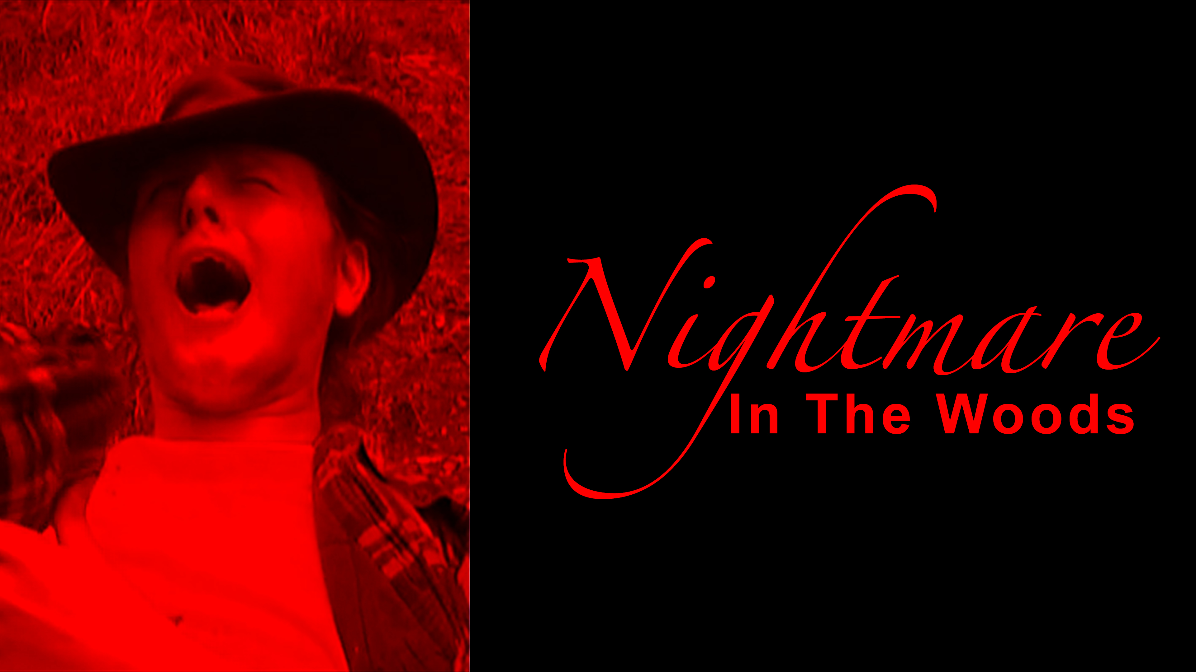 Nightmare in the Woods