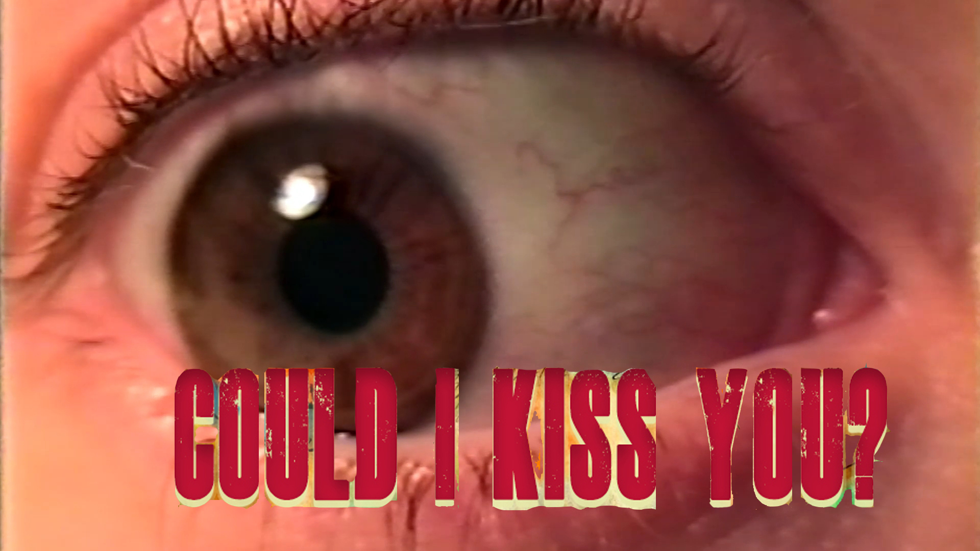 Could I Kiss You?